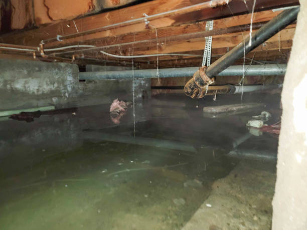 Best Sewage cleanup and water damage restoration  in Red Oak, TX