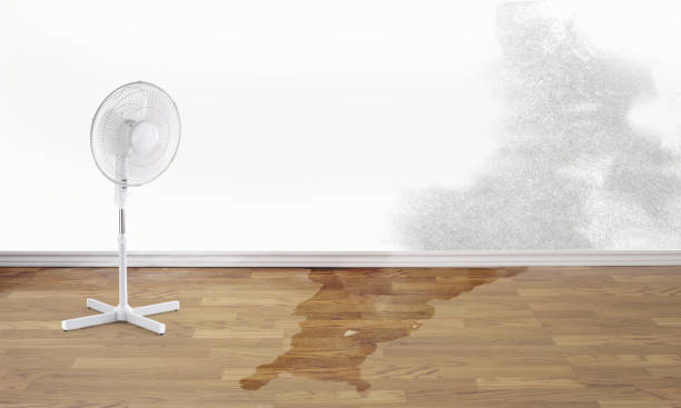 Best Water damage cleanup near me  in Red Oak, TX