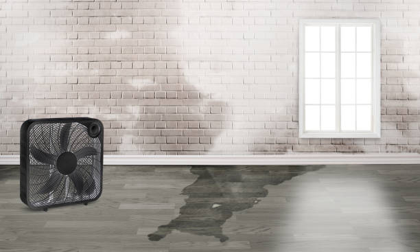 Best Fire Damage Restoration  in Red Oak, TX