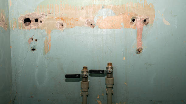 Best Ceiling water damage repair  in Red Oak, TX