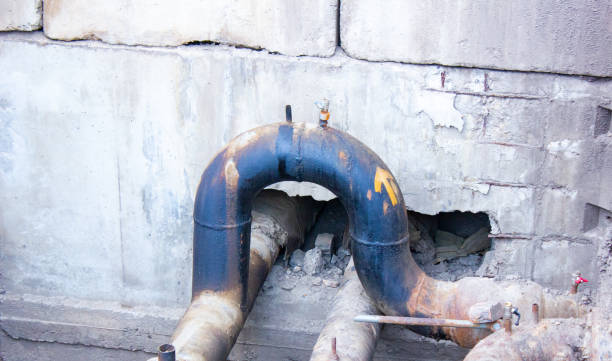 Best Mold removal after water damage  in Red Oak, TX